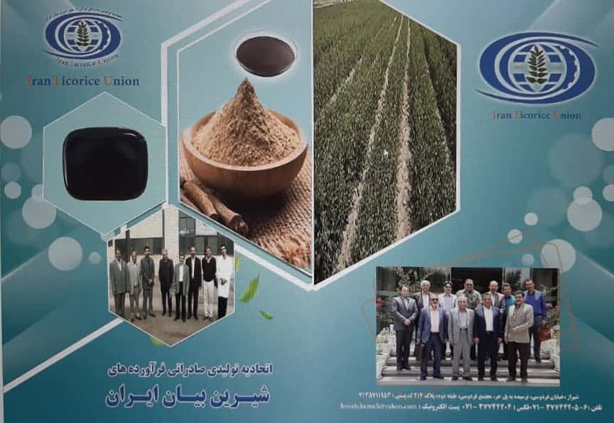 گیاه شیرین‌بیان